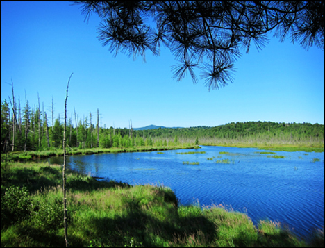 Adirondack Habitats:  Saint Regis Mountain from the Barnum Pond Overlook at the Paul Smiths VIC